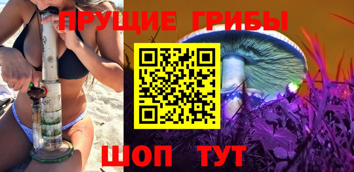 Псилоцибиновые грибы GOLDEN TEACHER Касимов