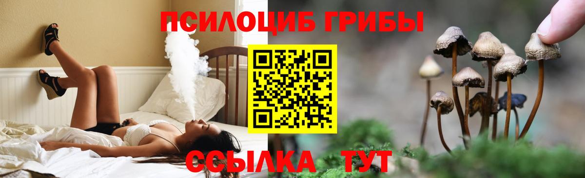 Псилоцибиновые грибы ЛСД  Вход с VPN  Касимов 